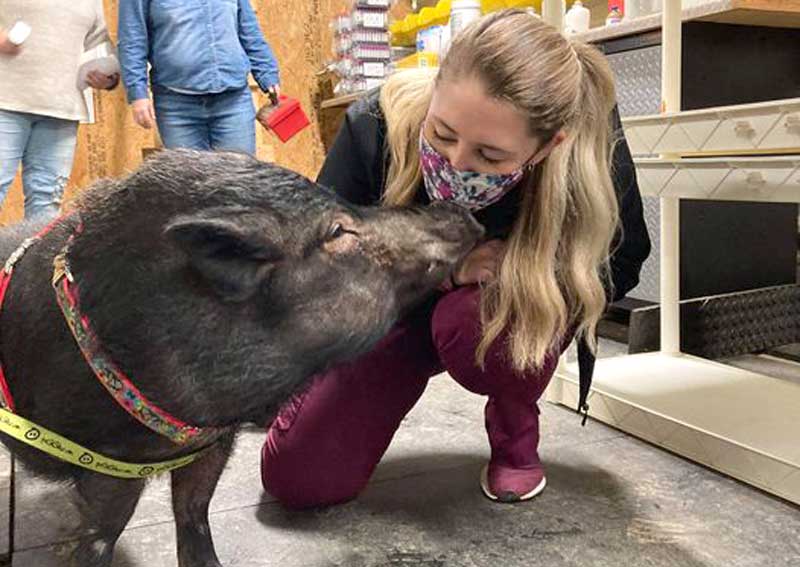 Carousel Slide 6: Large Animal Care