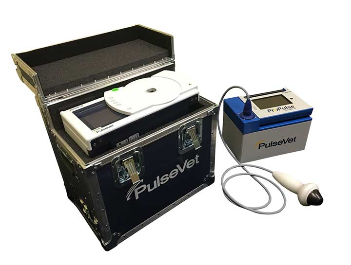 Shockwave Therapy